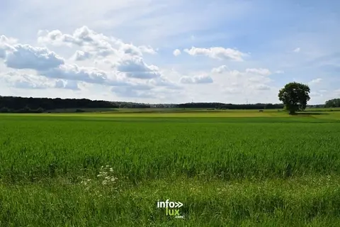 La boucle accessible à tous à Arlon (Sesselich et Wolkrange) : randonnée de 7,7 km